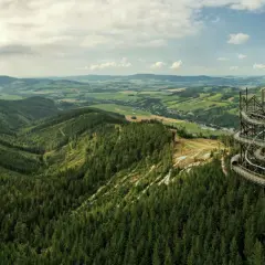 Widok na malowniczą dolinę Morawy z górującą nad lasem, spiralną wieżą widokową.