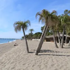 Plaża w Marbelli z palmami, piaskiem i budynkiem z dachem krytym strzechą. W oddali widać molo i błękitne morze.