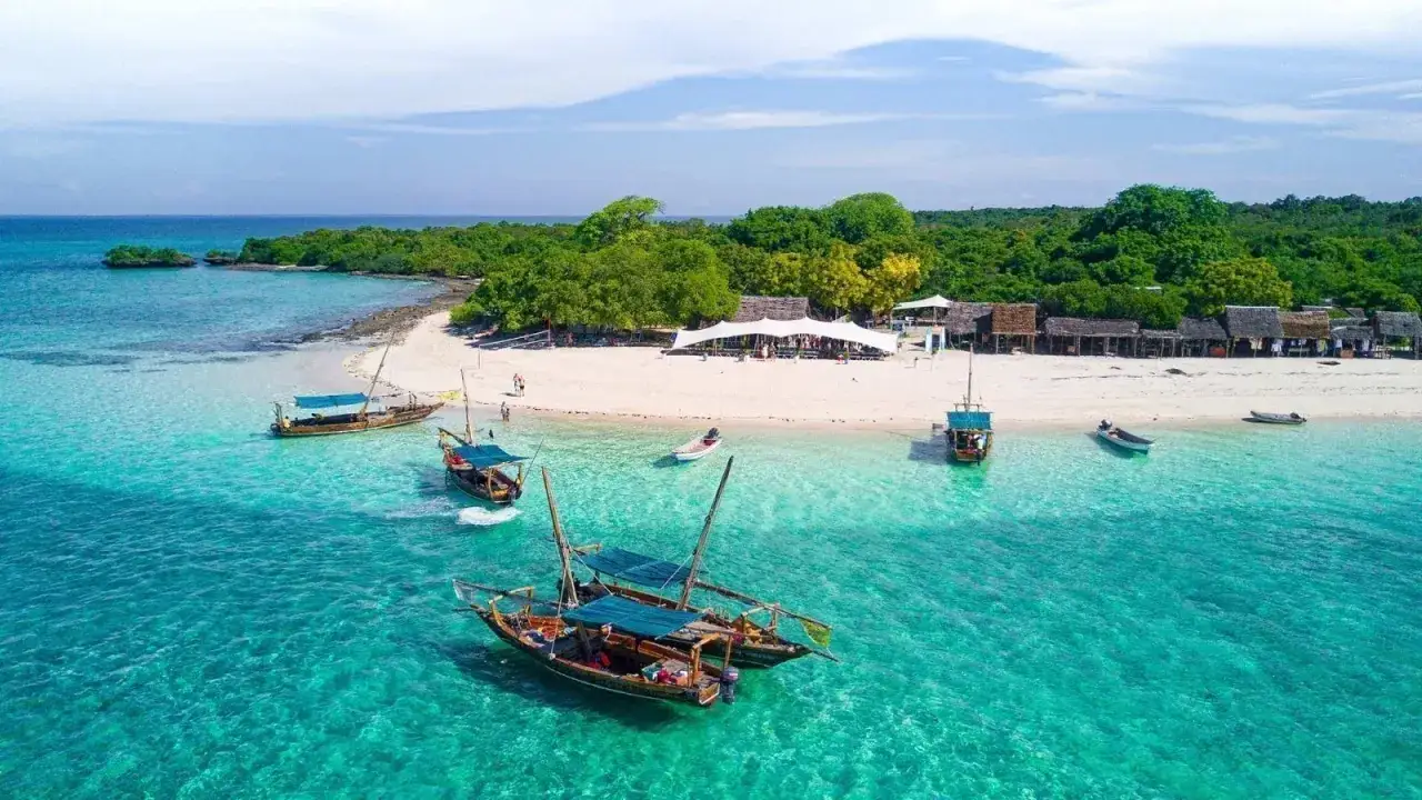 Rajskie wakacje w Tanzanii: łodzie dhow kołyszą się na turkusowej wodzie przy rajskiej plaży z palmami i chatkami.