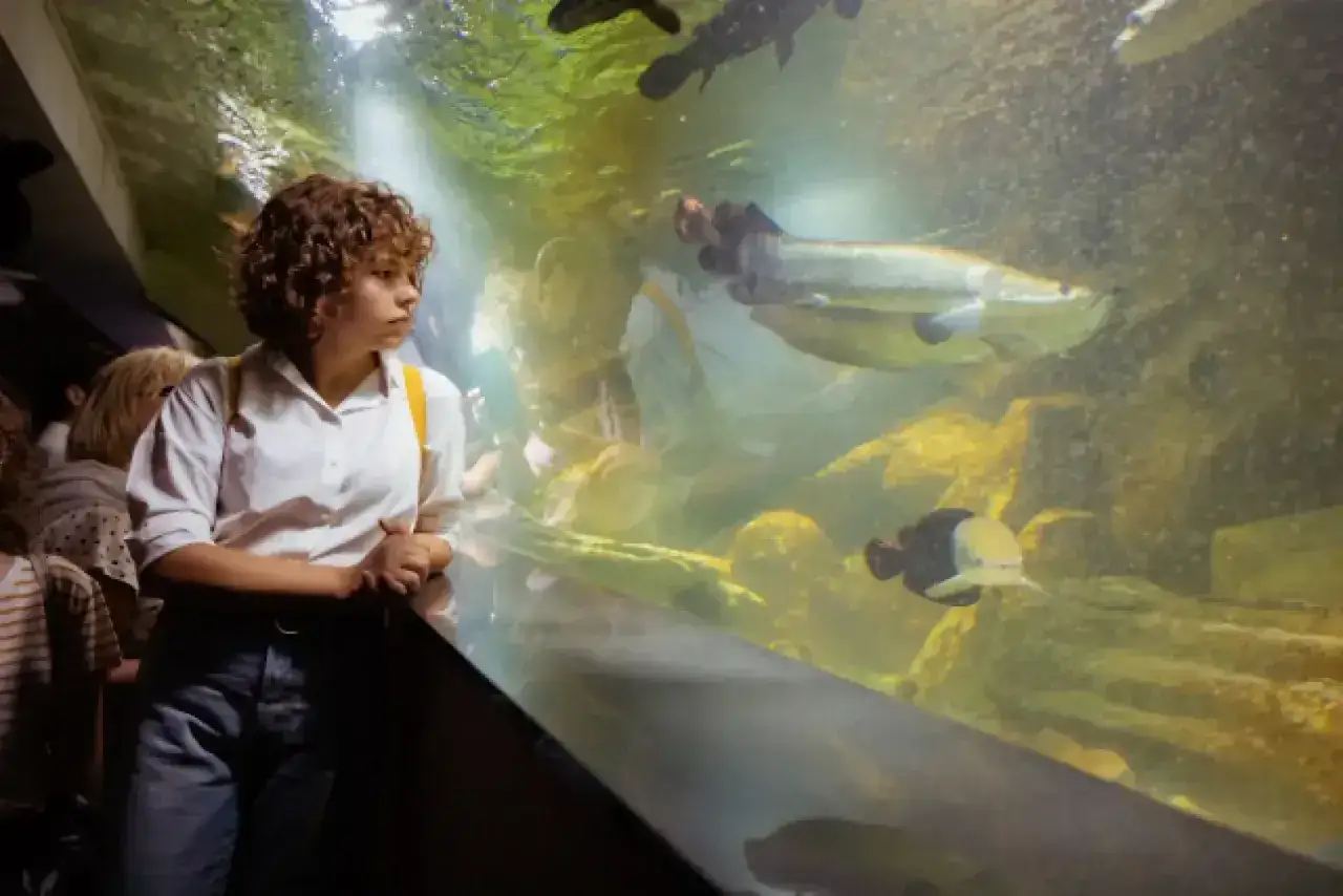 Dziewczyna z kręconymi włosami podziwia ryby w akwarium. Warto odwiedzić oceanarium Kołobrzeg, opinie są pozytywne!